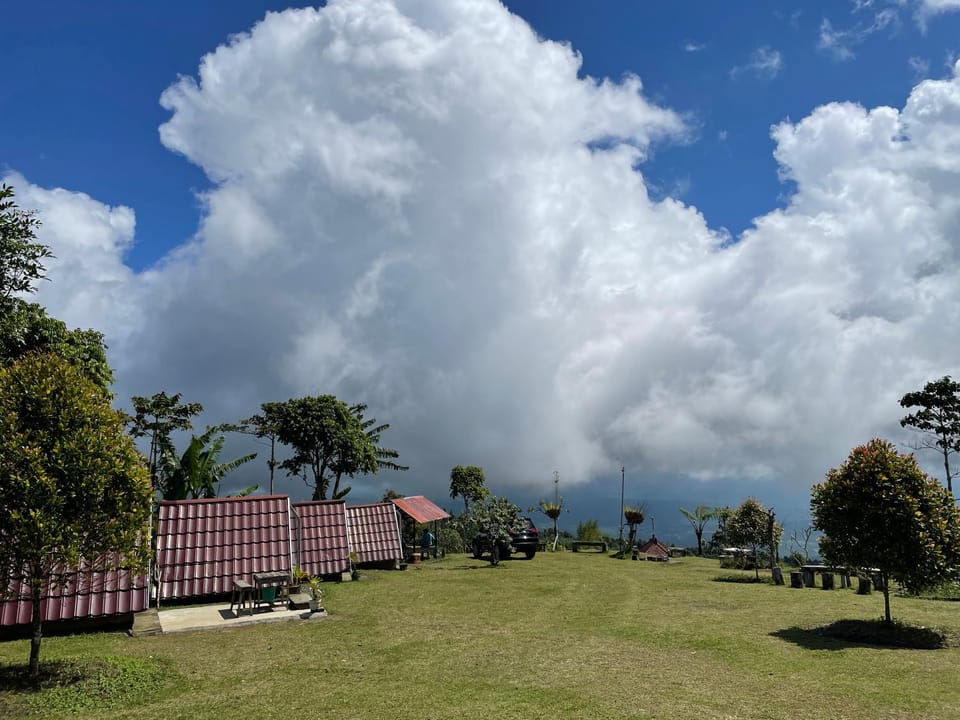 Natural landscape, Garden view