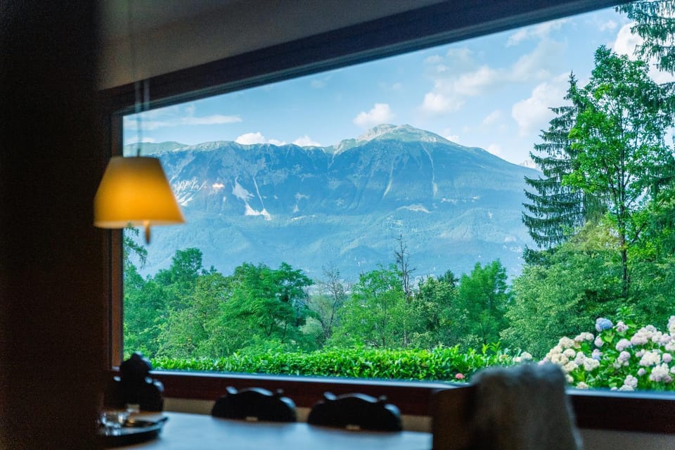 View (from property/room)