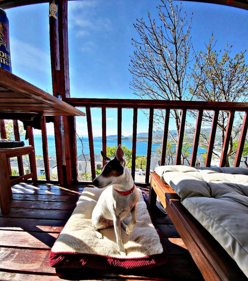 Natural landscape, View (from property/room), Balcony/Terrace, Pets, Sea view