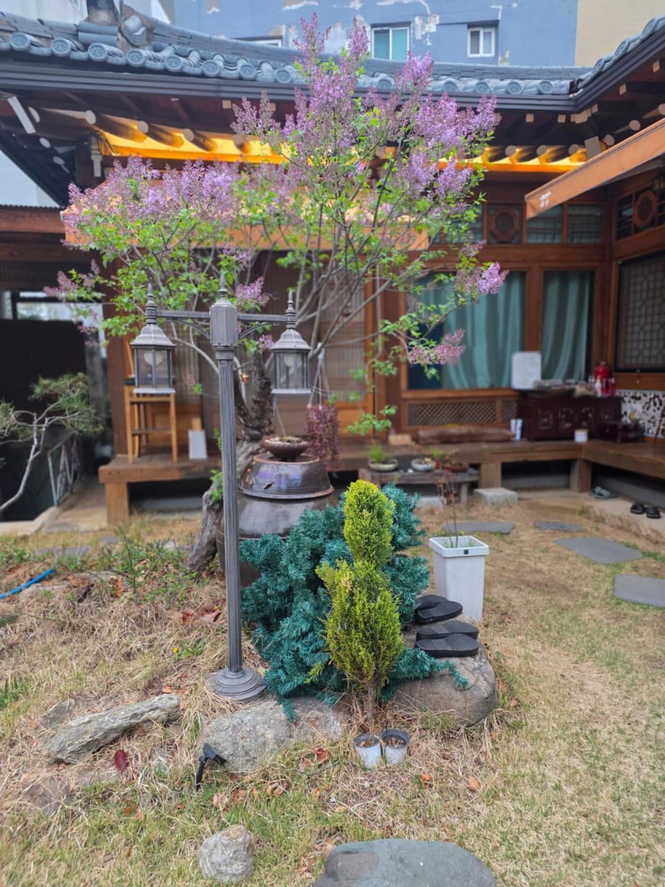 Aega Hanok Guesthouse Bed and Breakfast in Daegu