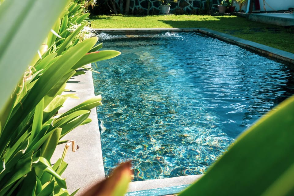 Summer, Garden, Pool view, Swimming pool