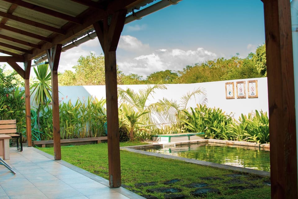 Summer, Garden, Swimming pool, Time of day