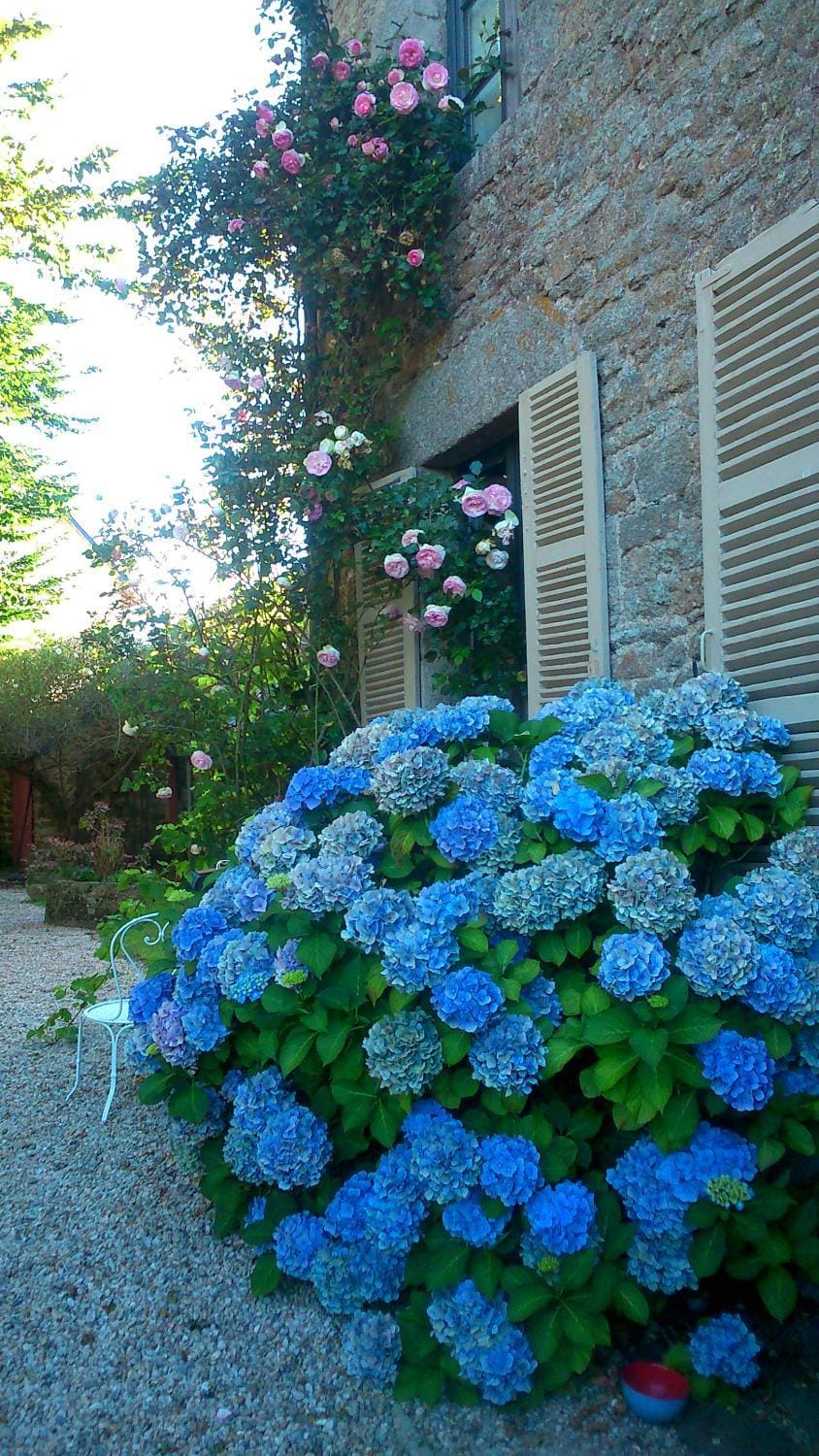 Property building, Garden