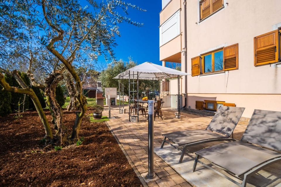 Patio, Garden