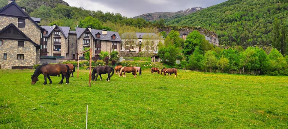 Los Cachorros Apartment in Aragon