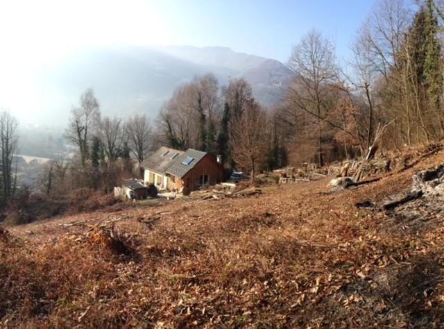 Natural landscape