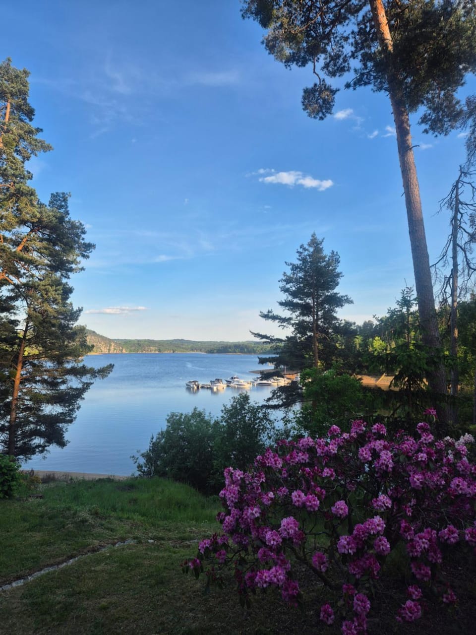 River view