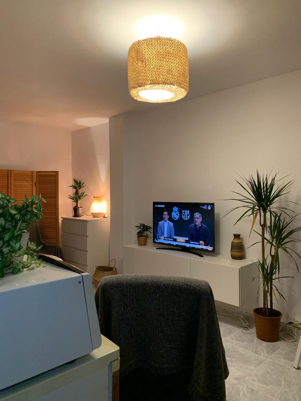 TV and multimedia