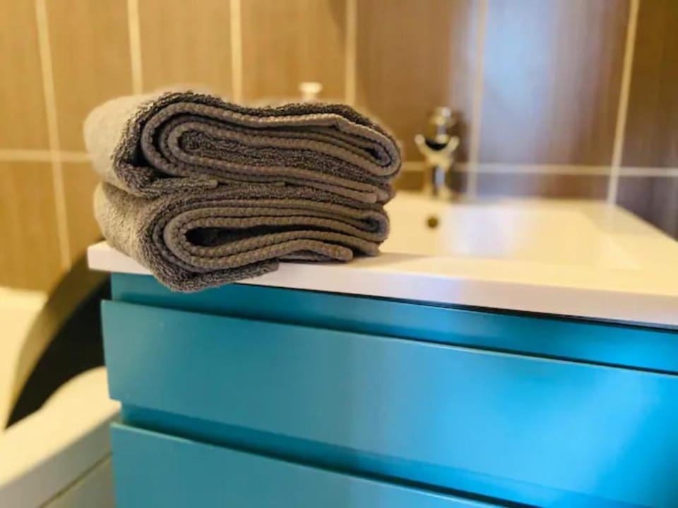 Le Zen appartement balnéo Grenoble Apartment in Grenoble