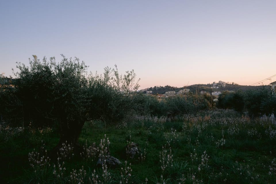 Neighbourhood, Natural landscape, Hiking, Sunrise, Sunset