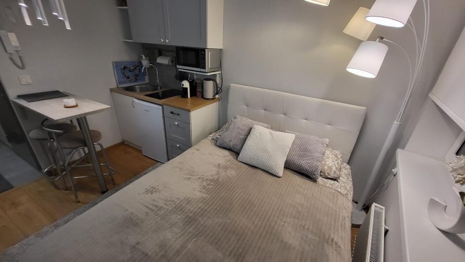 Peplerhome Apartment in Estonia