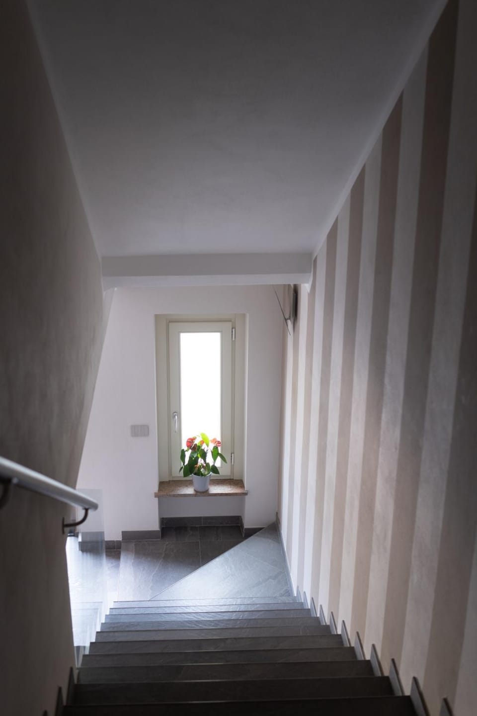 Property building, Internal: Not applicable to any particular room