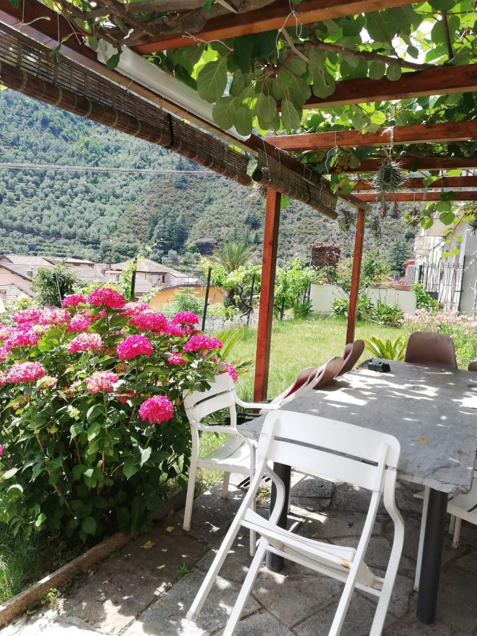 Spring, Day, Garden, Garden, Dining area