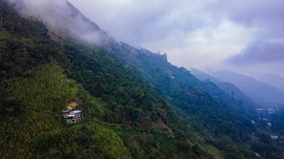 Mountain view