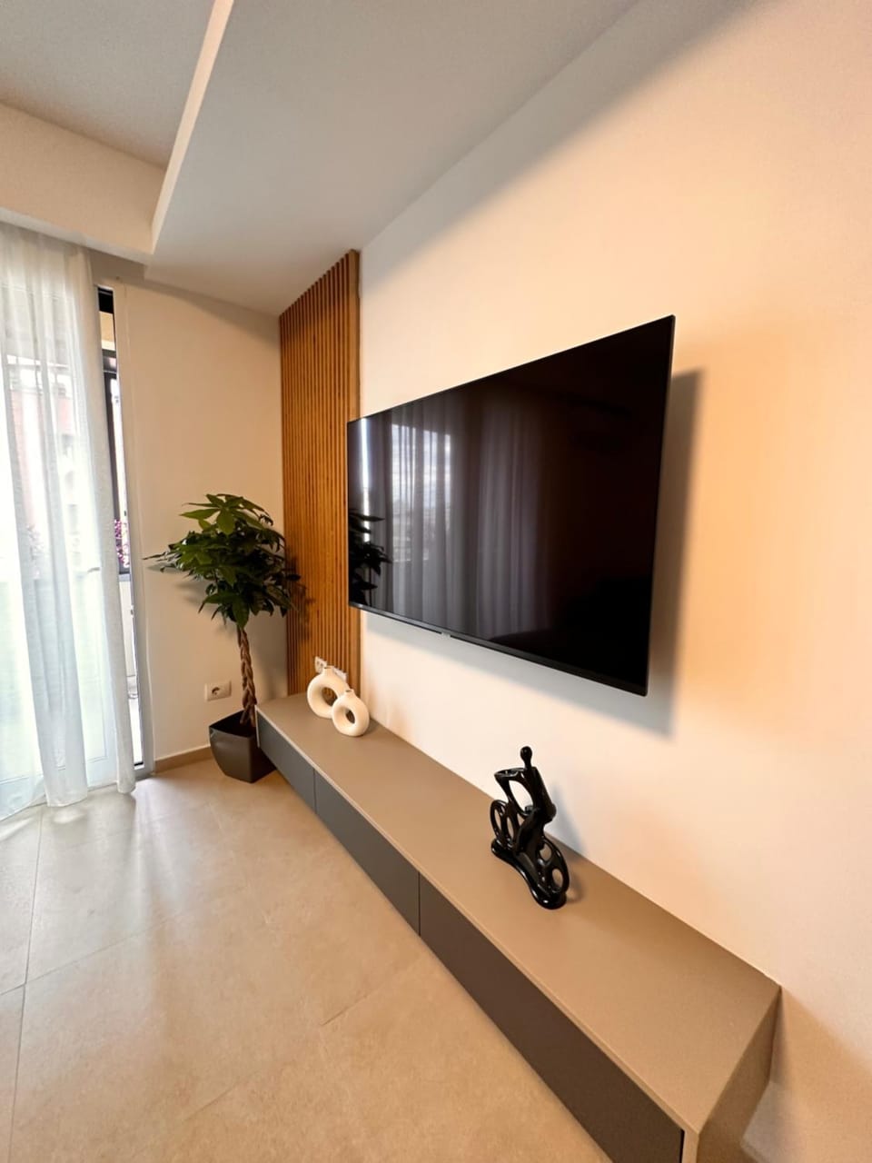 TV and multimedia