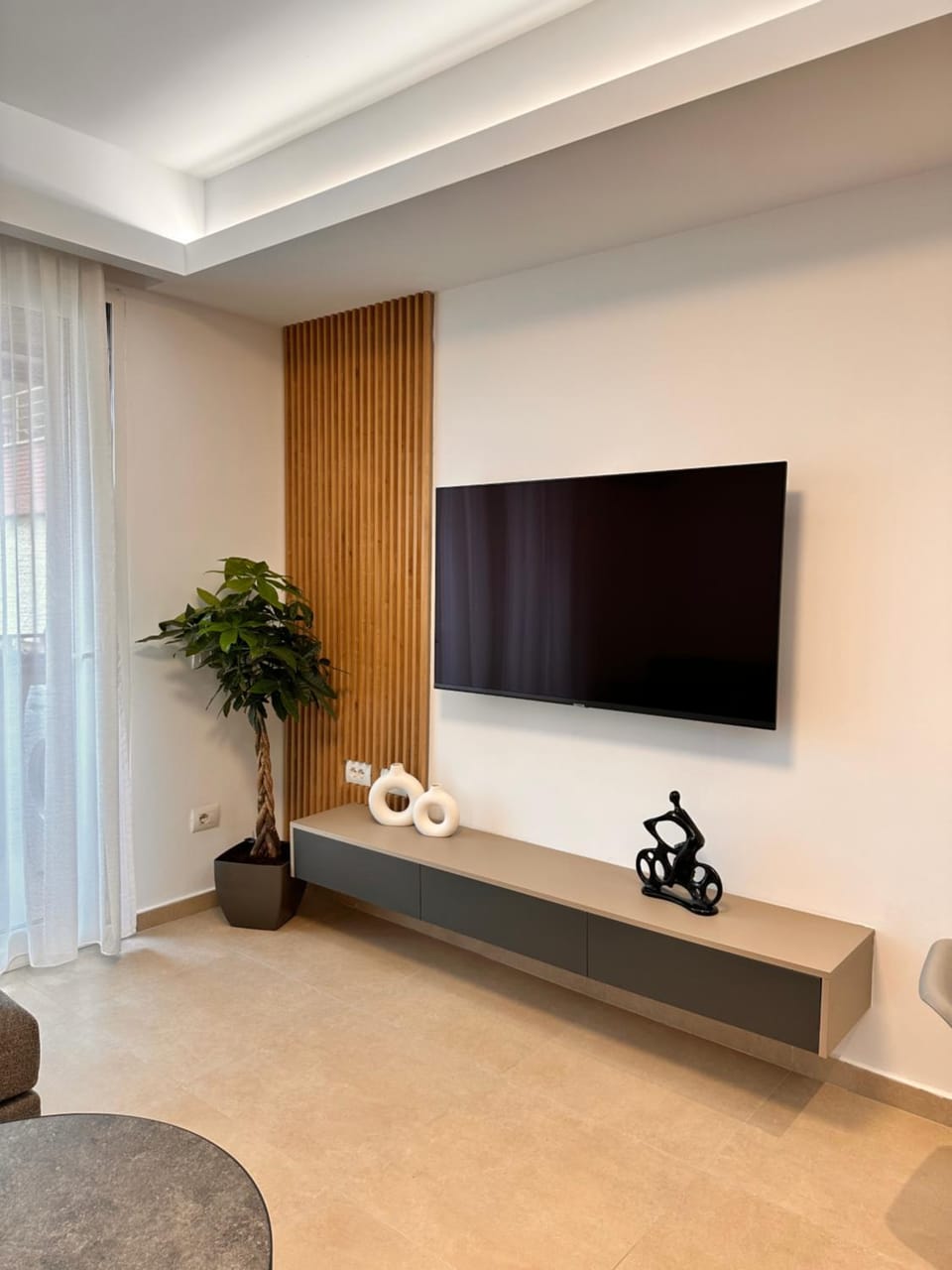 TV and multimedia