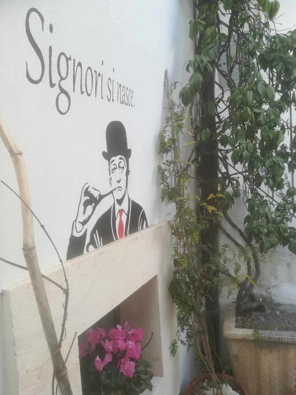 Antica noci House in Province of Taranto
