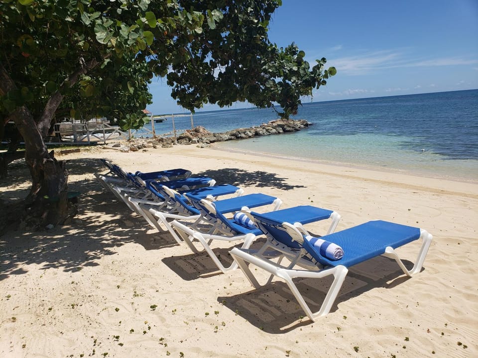 Natural landscape, Beach, sunbed
