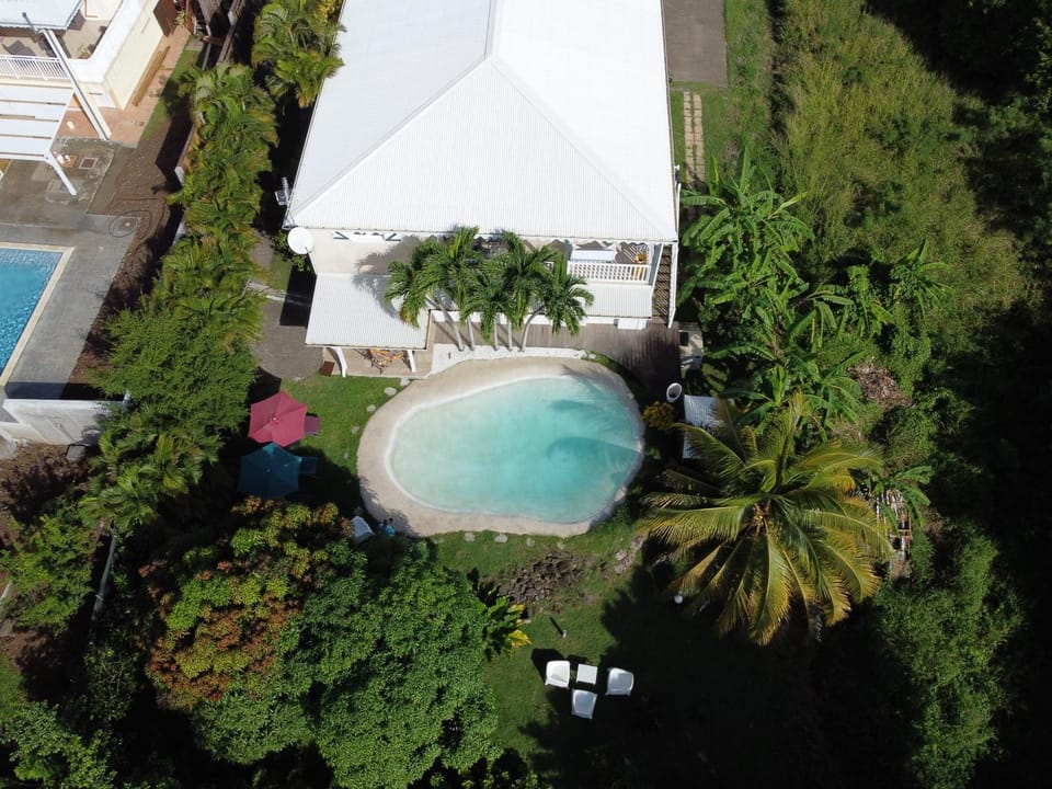 Bird's eye view, Garden, Pool view, Swimming pool, Swimming pool