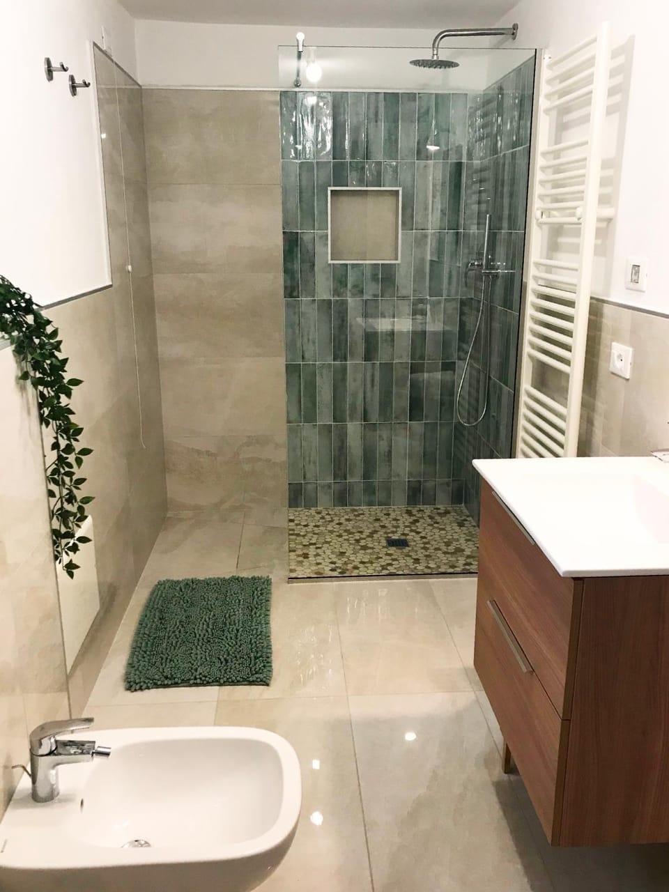 Shower, Toilet