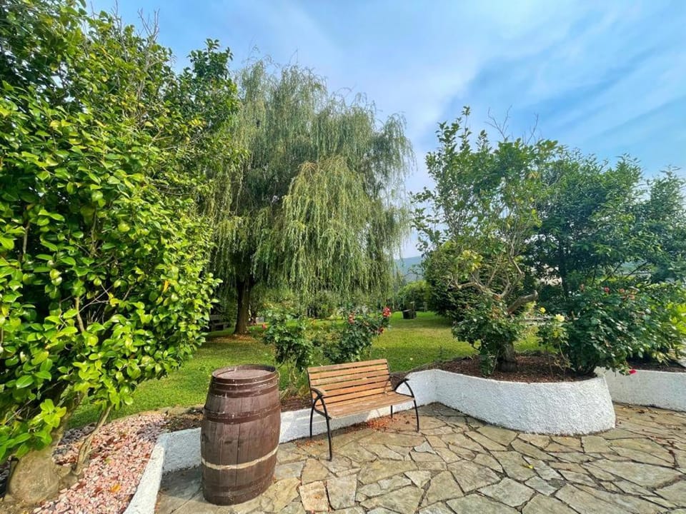 Patio, Garden, Garden view