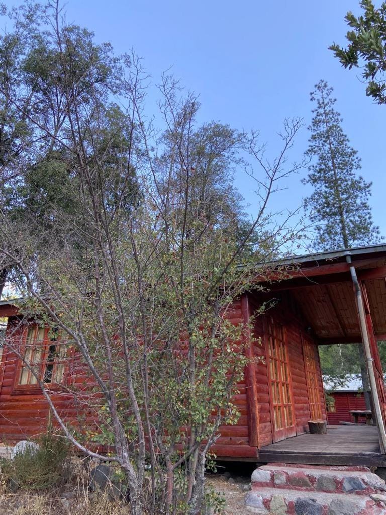 Rancho el Chilcal Cabañas con vista al rio Nature lodge in San Jose de Maipo