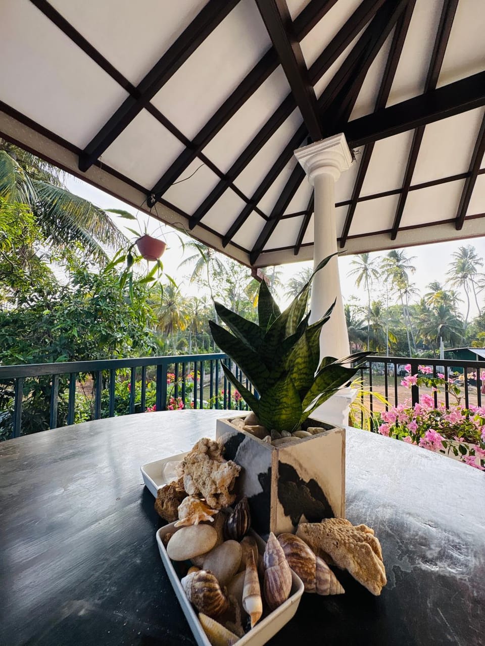 View (from property/room), Balcony/Terrace