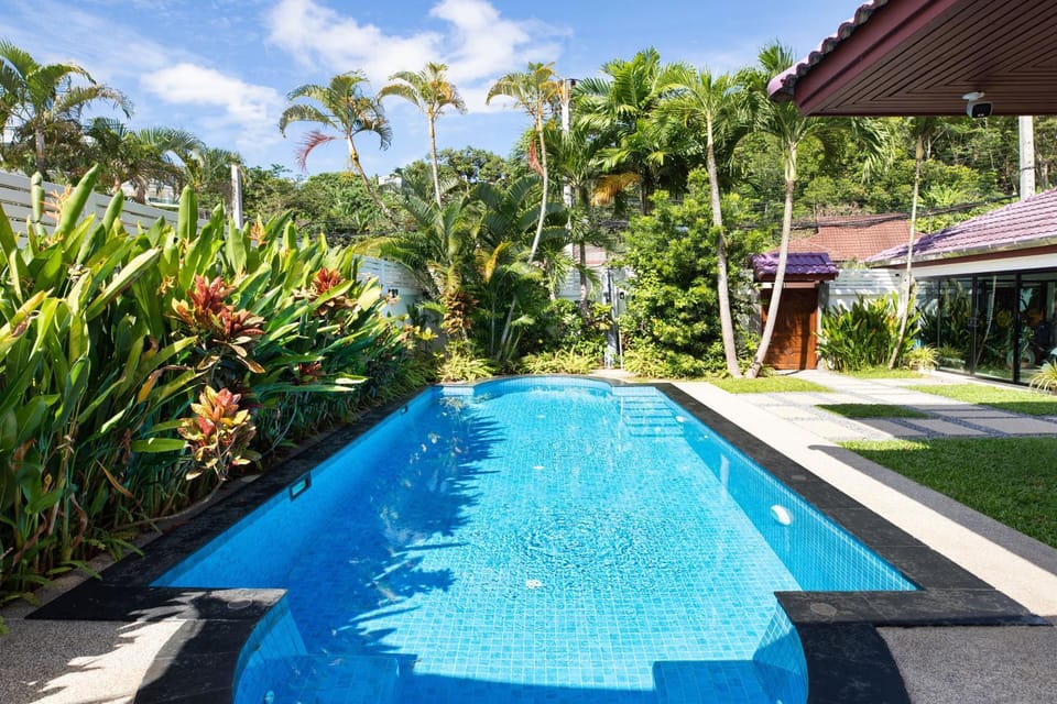 Day, Garden, Swimming pool, Swimming pool