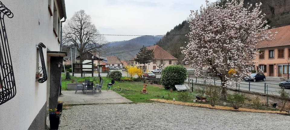 Neighbourhood, Garden