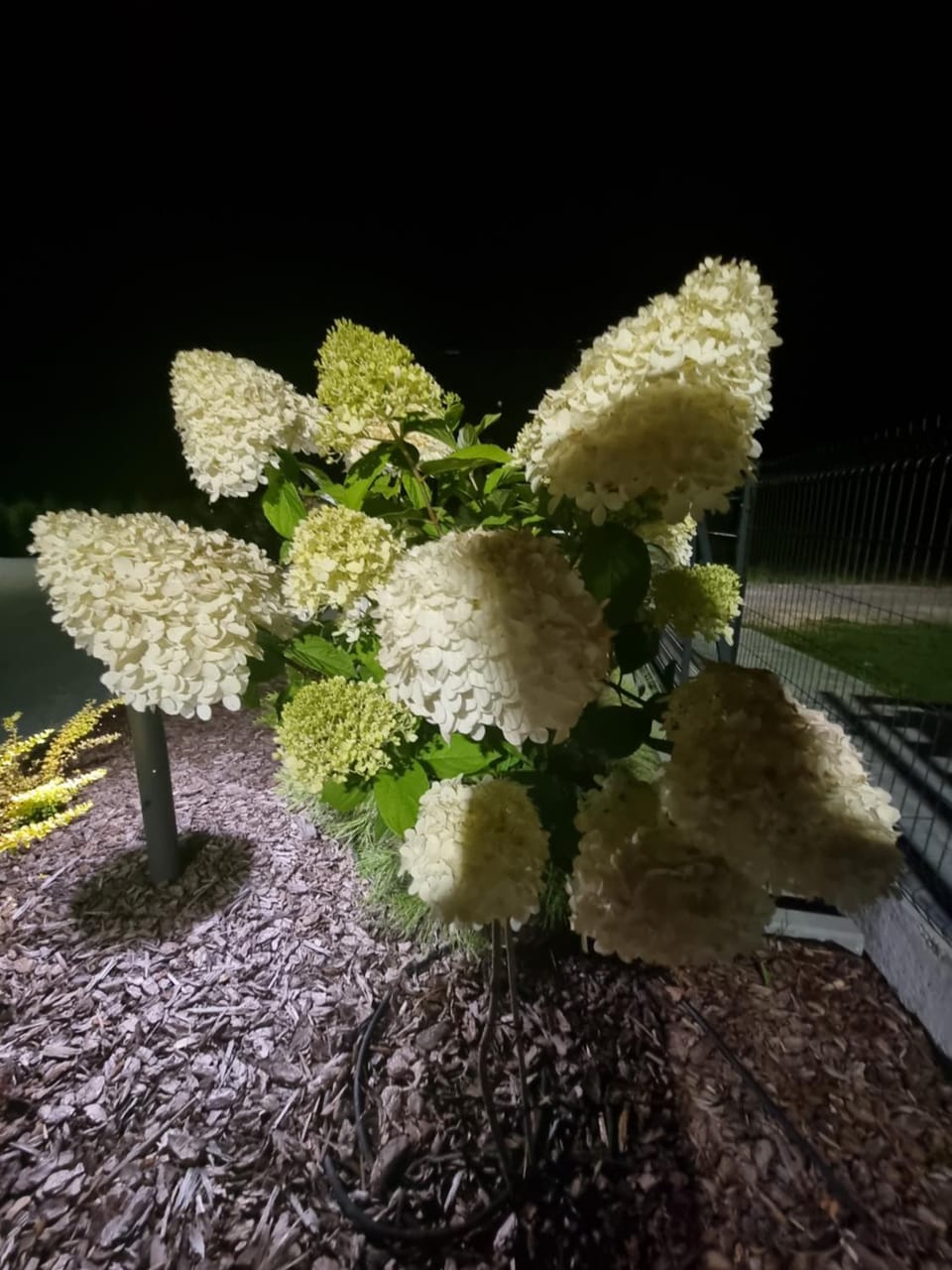 Zacisze Mazurskie Apartment in Lithuania