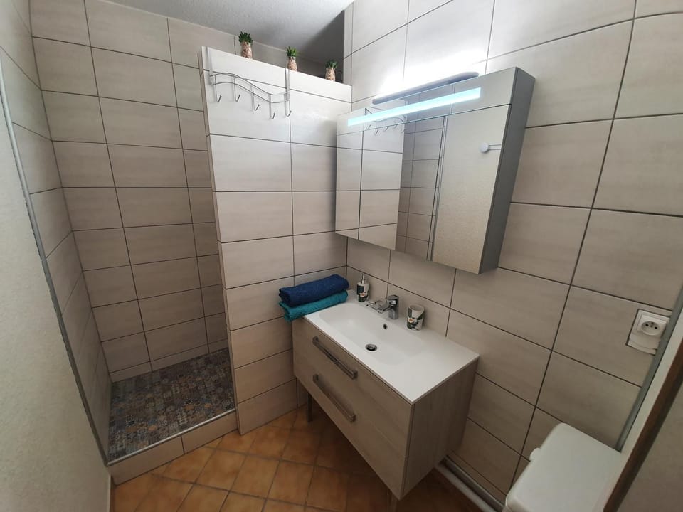 La vue du château - tout confort Apartment in Gréoux-les-Bains