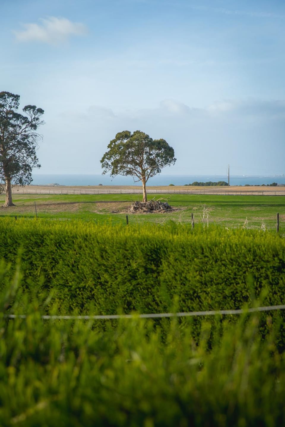 Natural landscape