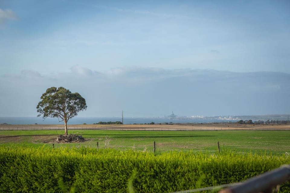 Natural landscape