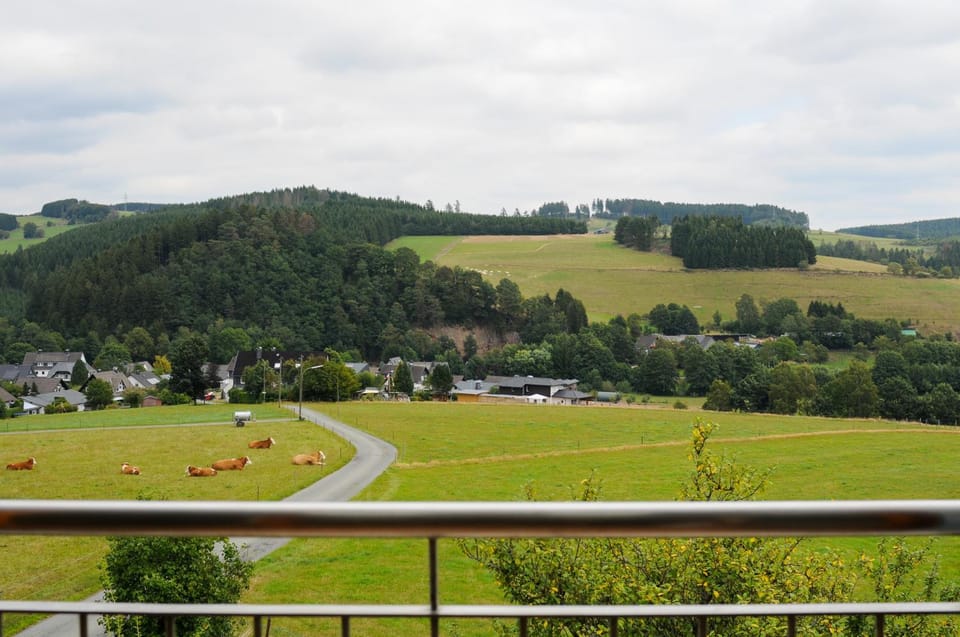 View (from property/room)