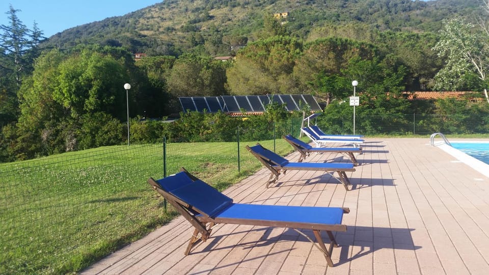 sunbed