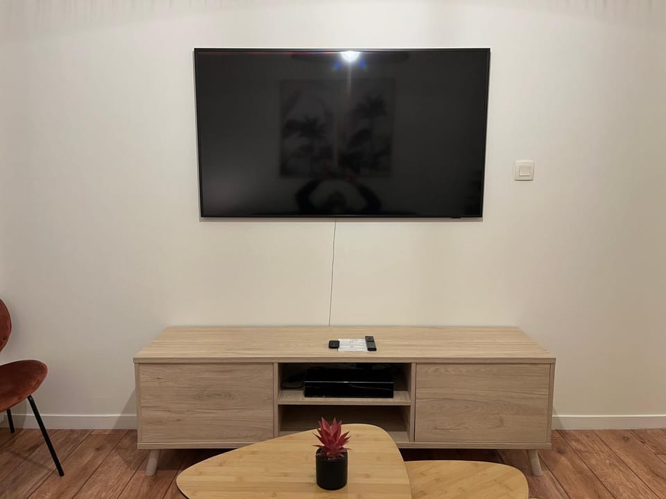 TV and multimedia