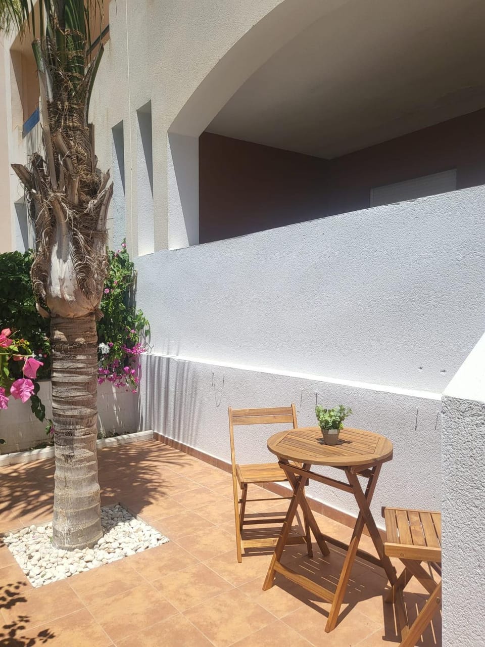 Patio, Day, Garden view