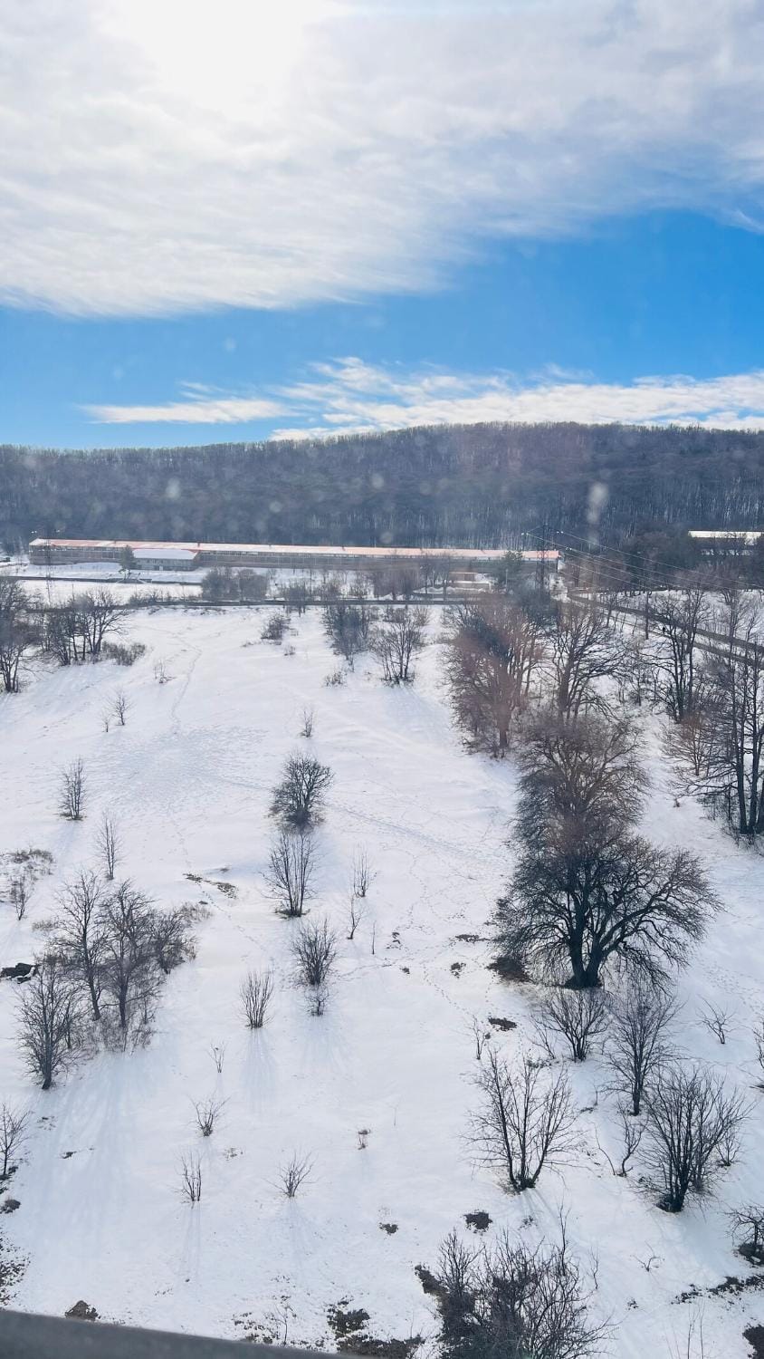 Natural landscape, Winter