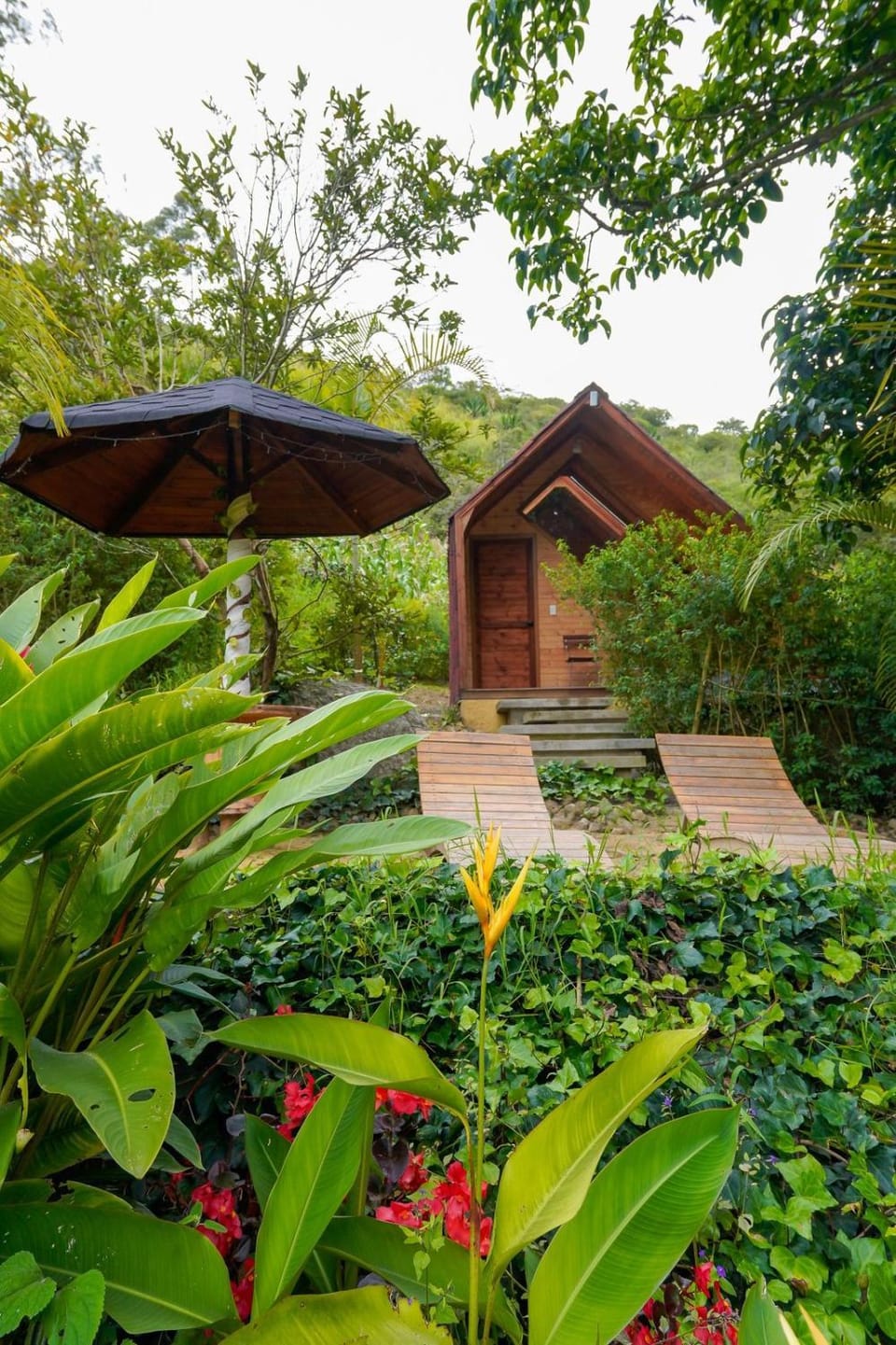 Garden, Garden view