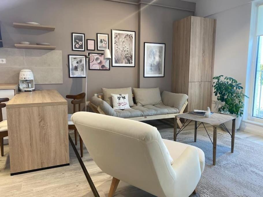 Shi Ti Junior Suite Apartment in Romania