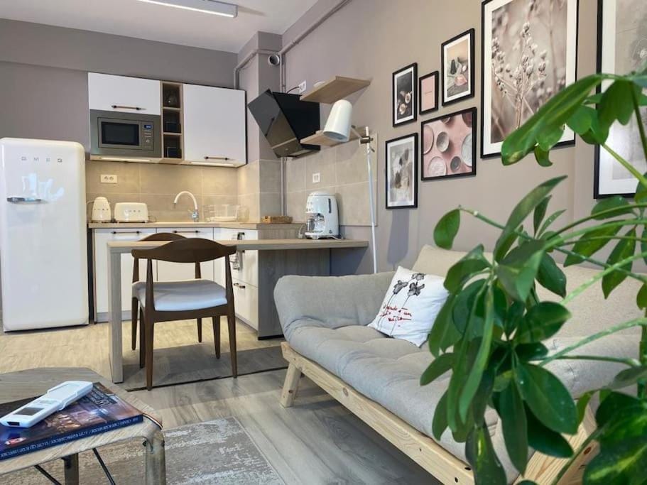 Shi Ti Junior Suite Apartment in Romania