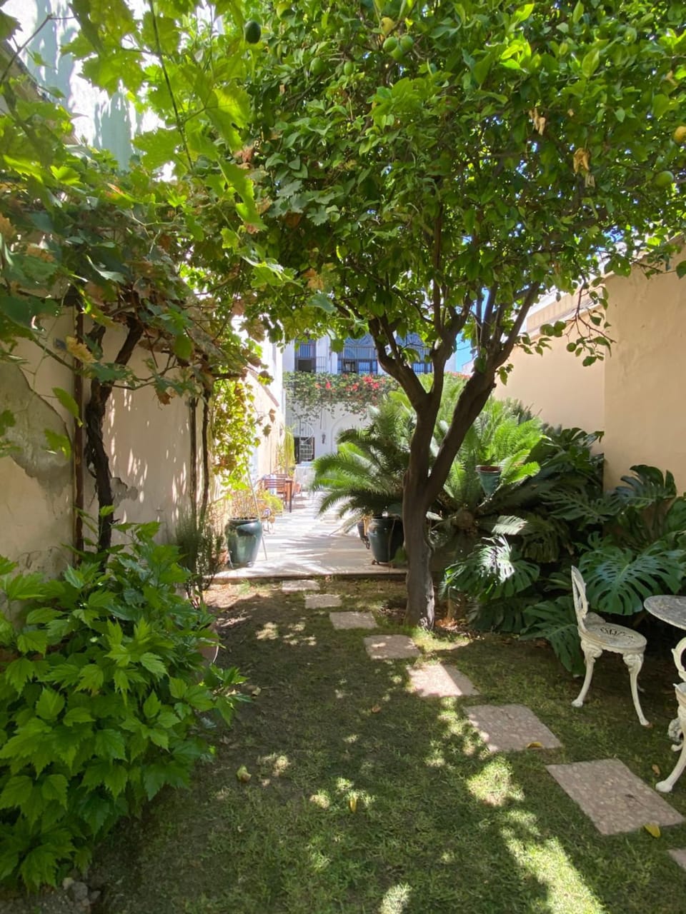 Garden, Swimming pool