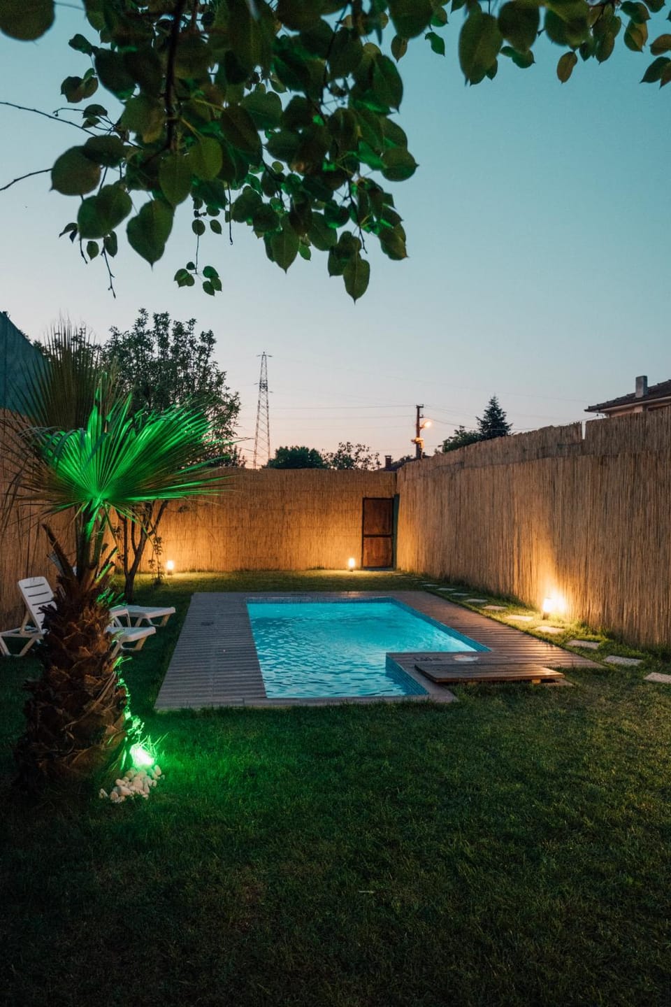 Night, Garden, Swimming pool, Swimming pool
