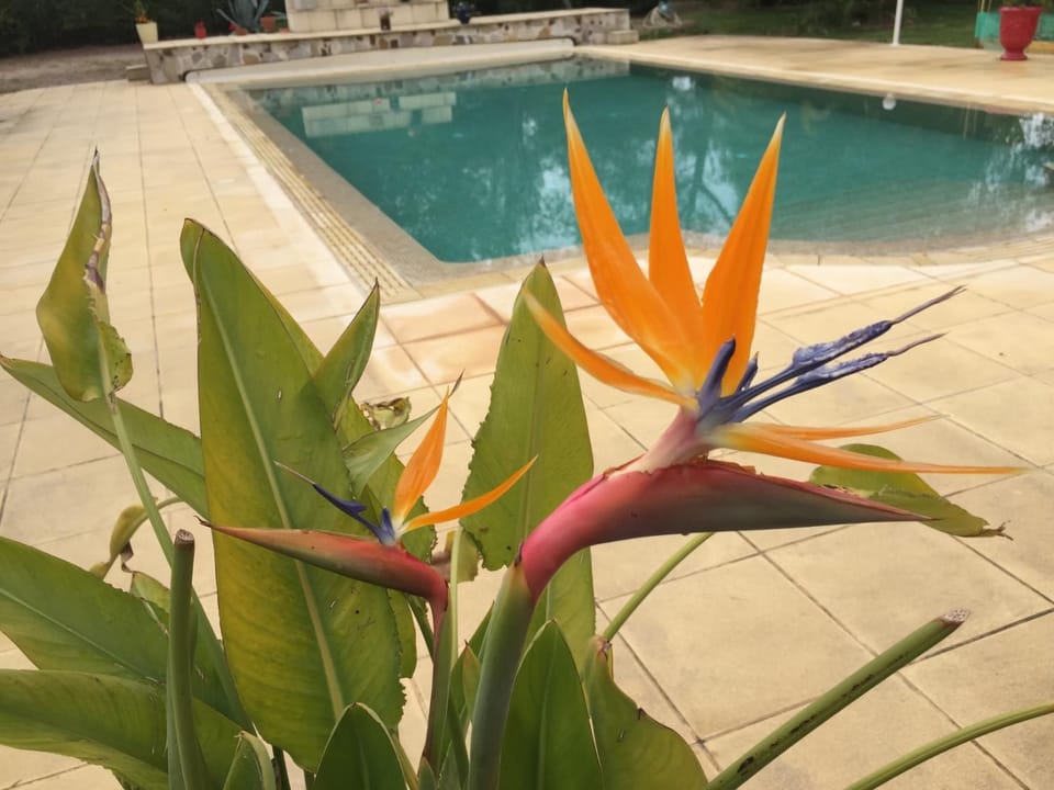 Domaine Sagittaires Bed and Breakfast in French Riviera