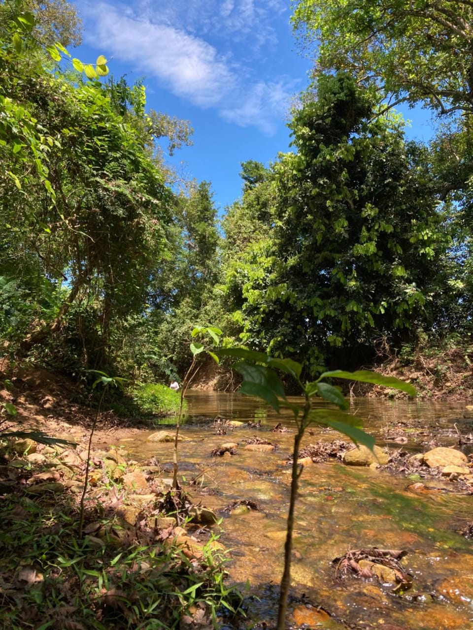 Natural landscape
