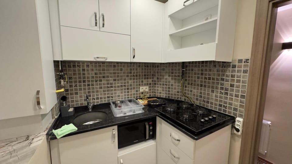 Kitchen or kitchenette, dishwasher, minibar, pet friendly, stove