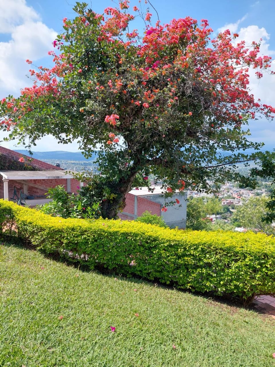 VISTA PANORAMICA AL VALLE DE YAUTEPEC House in State of Morelos