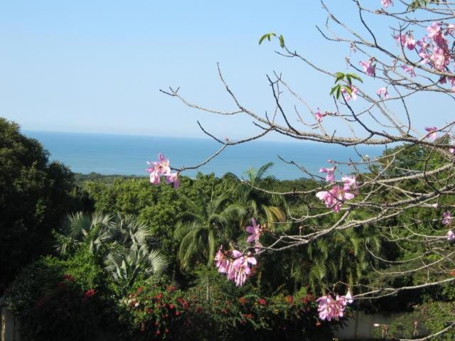 Natural landscape