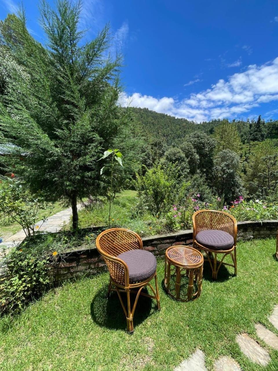 Garden view