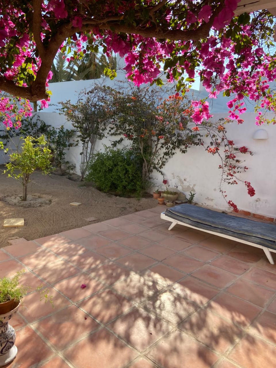 Patio, Garden, Garden view, sunbed